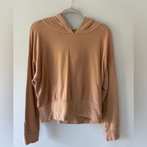 Offline by Aerie Hoodie